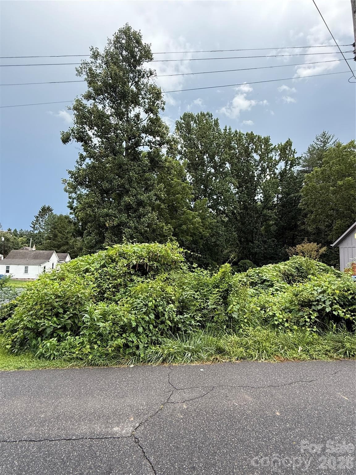 00000 Duckworth Avenue