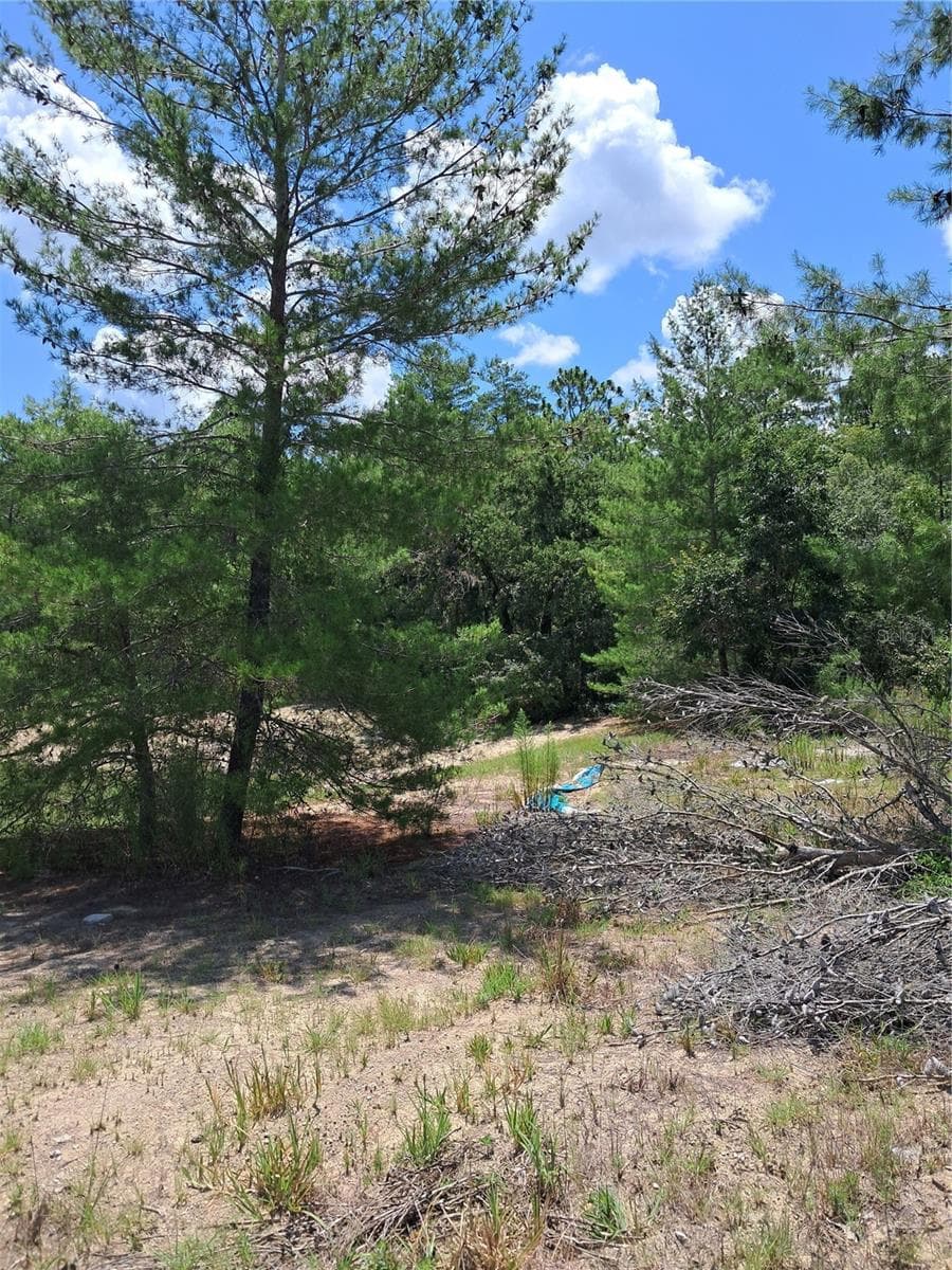 0 SW 65 AVE RD