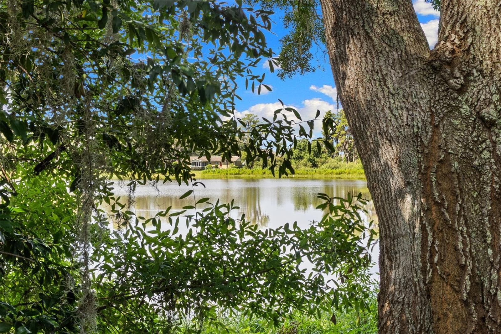 Land at 18117 BOY SCOUT RD, ODESSA, photo 19 of 21
