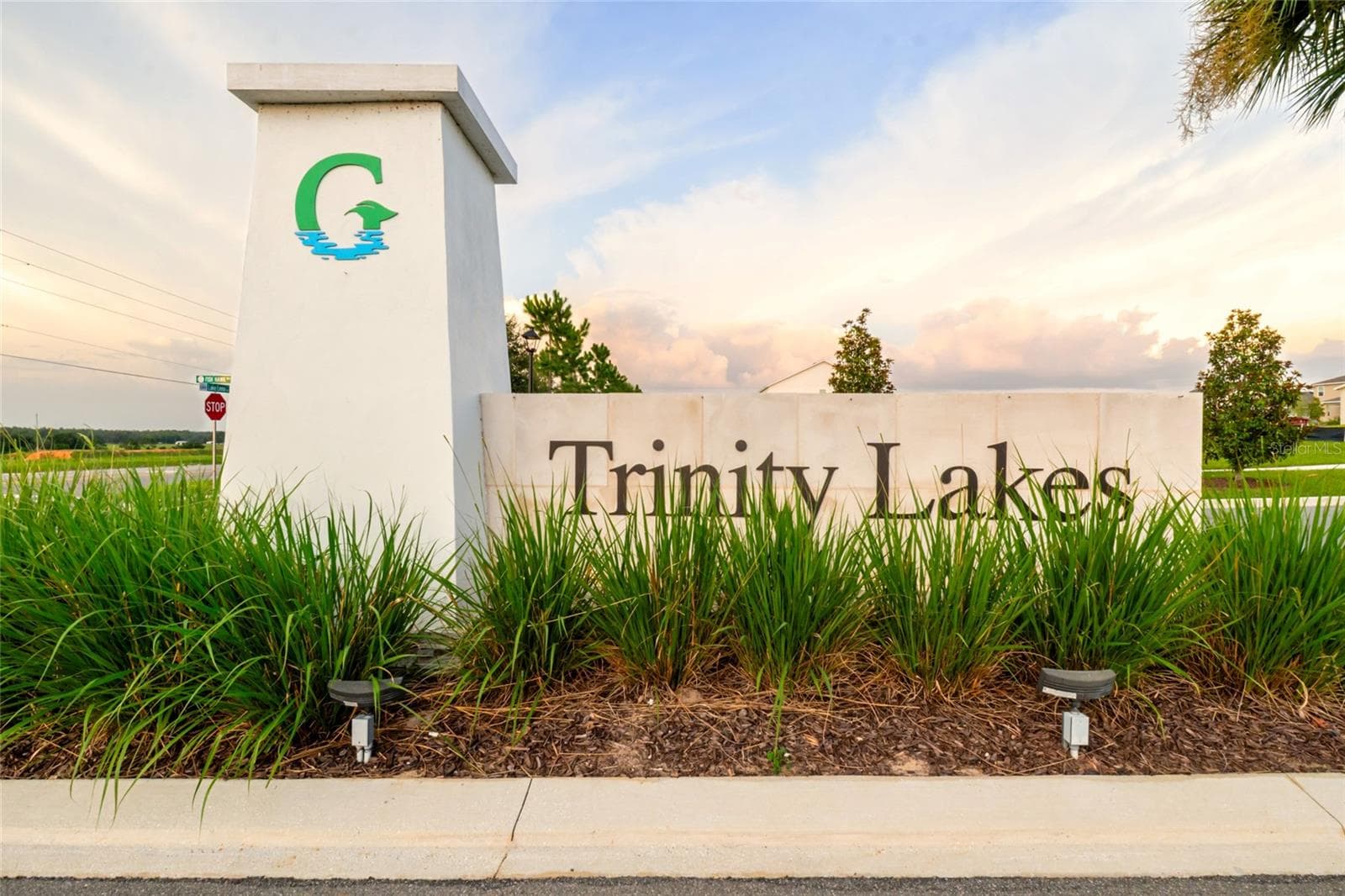 Single Family Residence at 2053 HEART LAKE DR, GROVELAND, photo 57 of 58