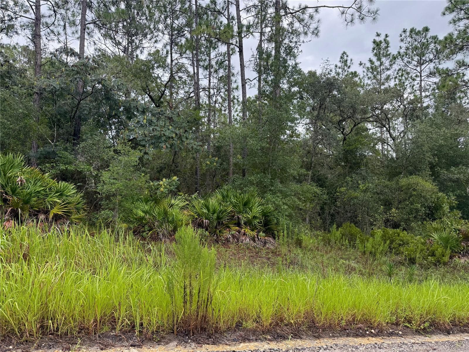 Land at 175 CT, DUNNELLON, photo 2 of 5