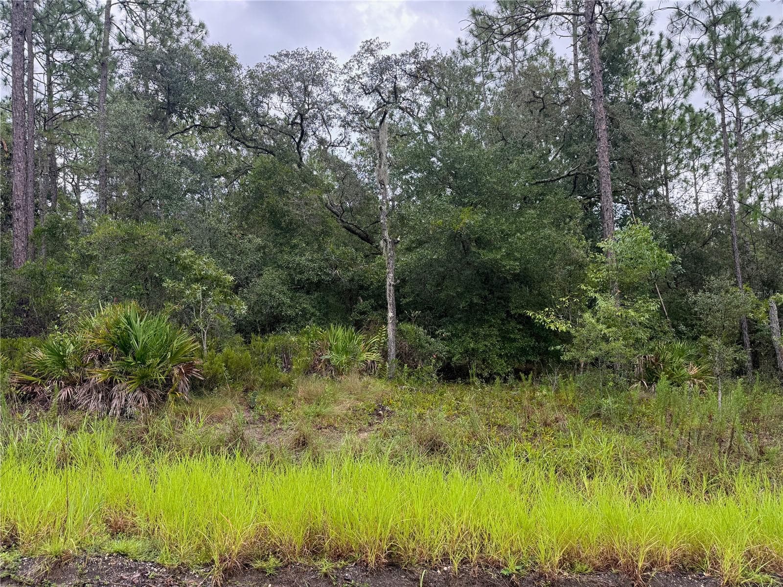 Land at 175 CT, DUNNELLON, photo 3 of 5