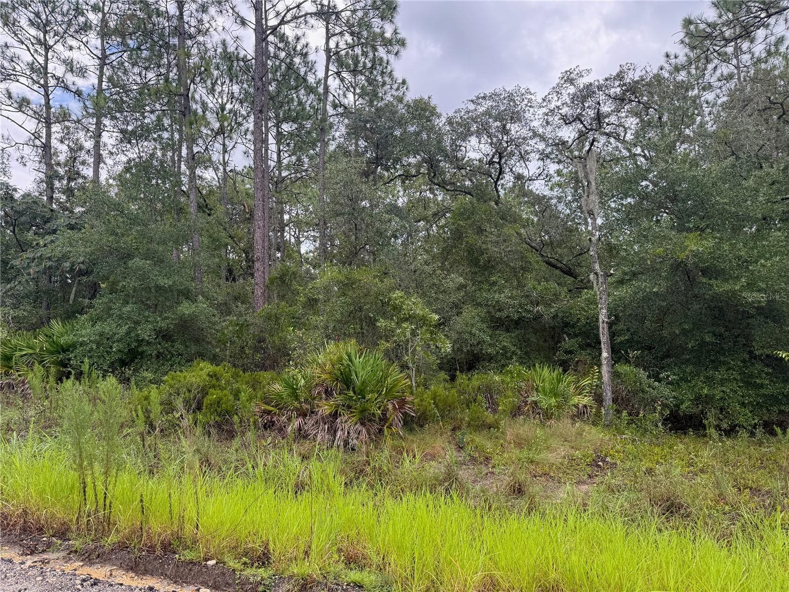 Land at 175 CT, DUNNELLON, photo 4 of 5