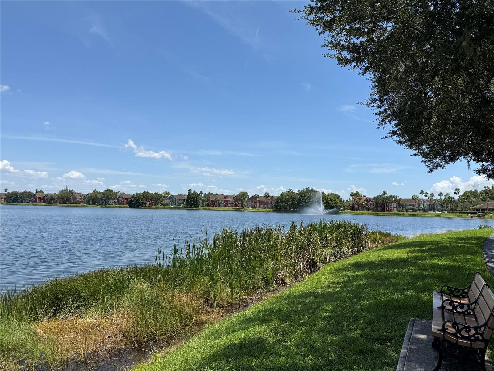 Lake Chase with 1 mile walking trail! - 9288 LAKE CHASE ISLAND WAY, TAMPA