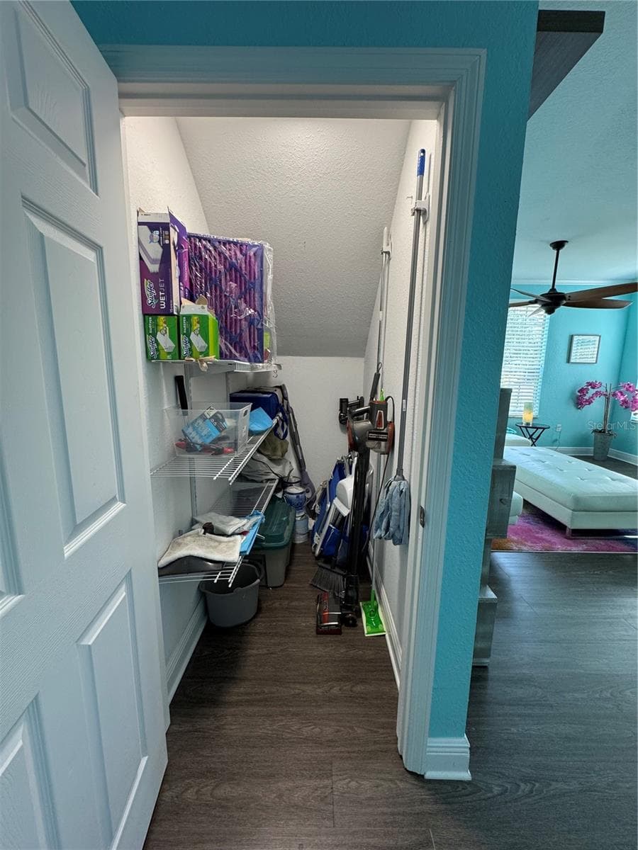 Storage closet - 9288 LAKE CHASE ISLAND WAY, TAMPA