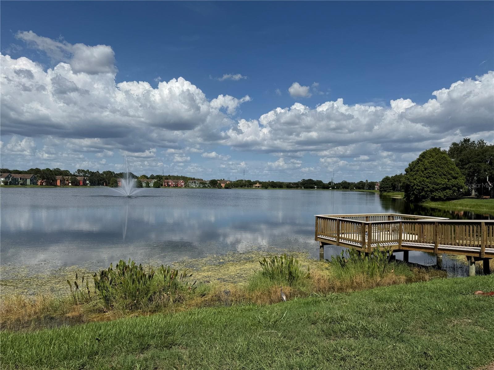 Condominium at 9288 LAKE CHASE ISLAND WAY, TAMPA, photo 40 of 63