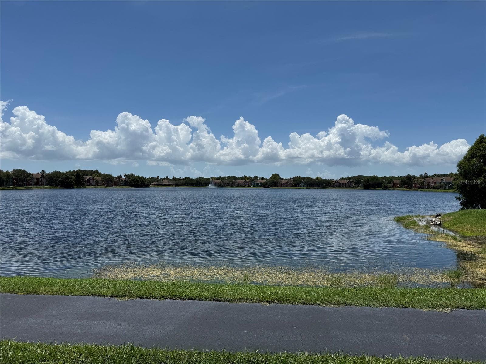 Condominium at 9288 LAKE CHASE ISLAND WAY, TAMPA, photo 54 of 63