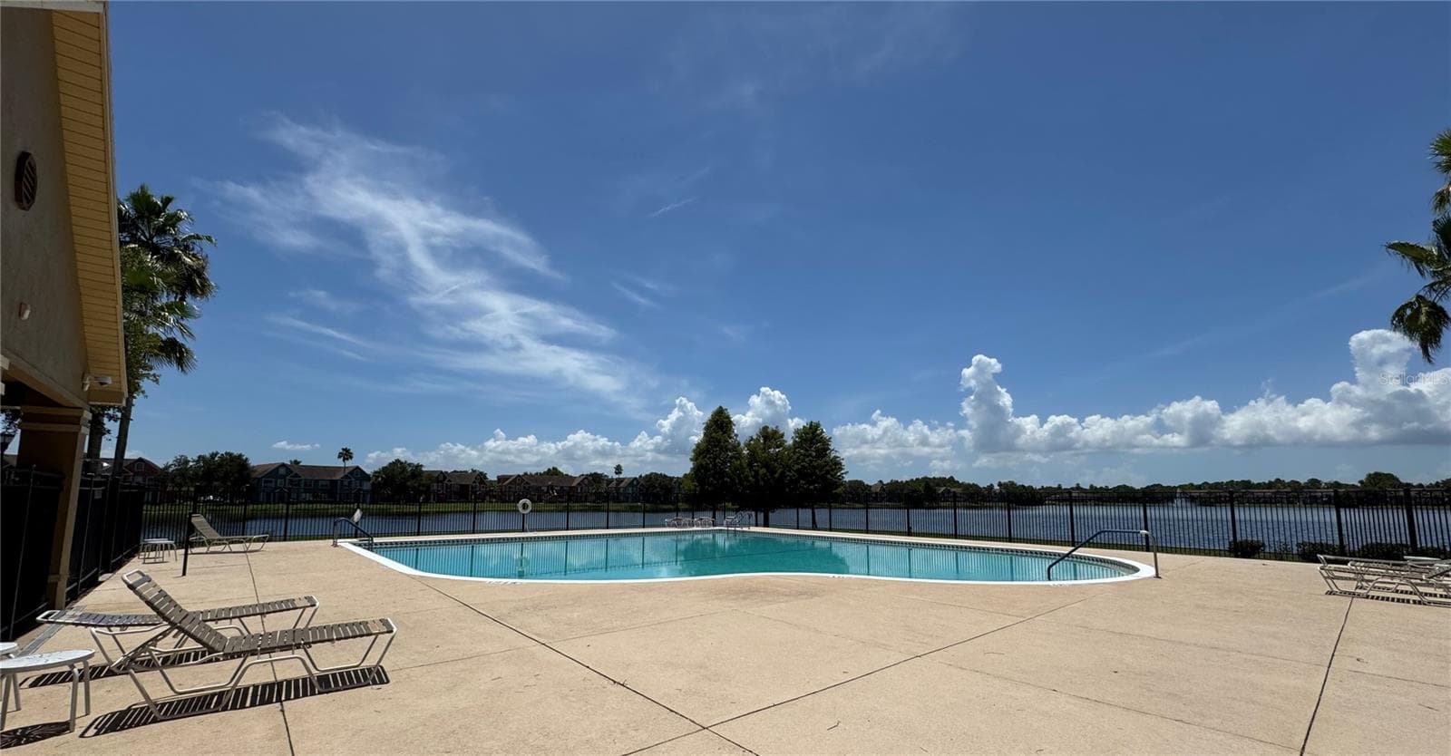 Community pool #2 - 9288 LAKE CHASE ISLAND WAY, TAMPA
