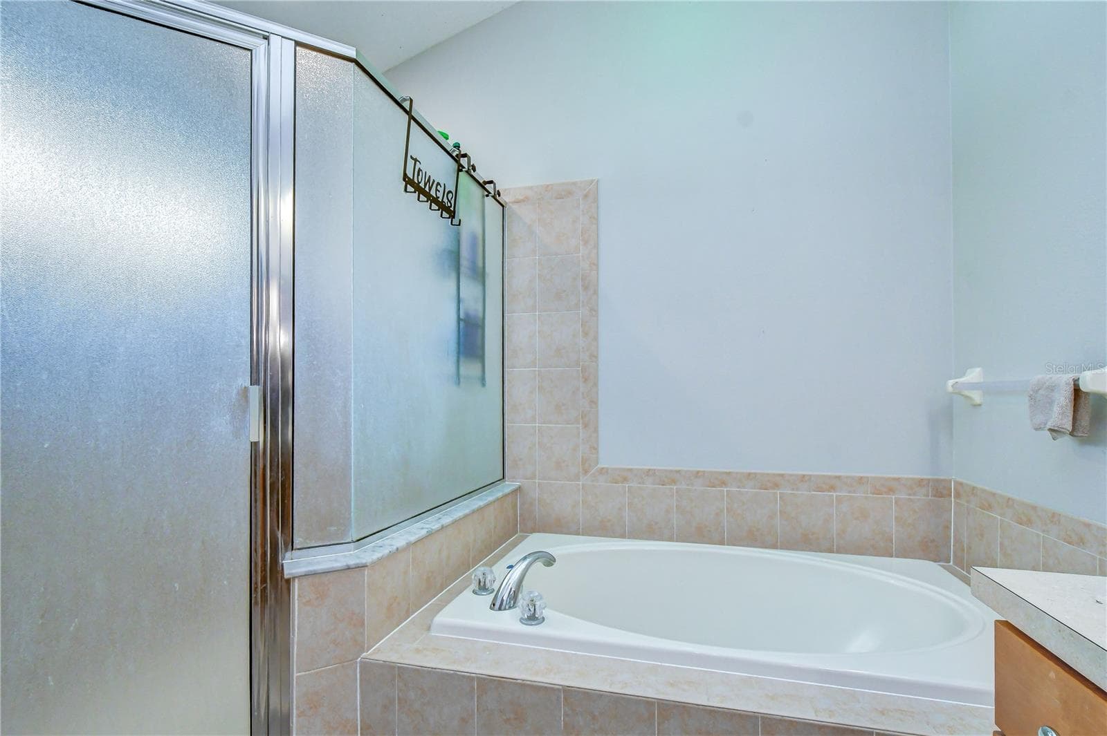 Soaking tub - 11117 RODEO LN, RIVERVIEW