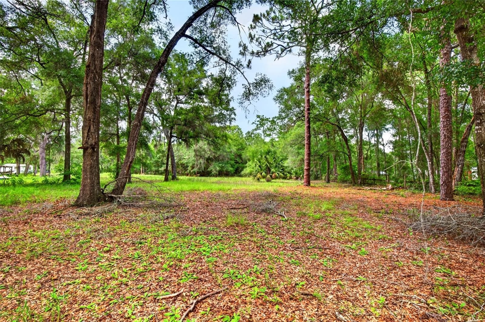 Manufactured Home at 9955 SE 160TH AVE, OCKLAWAHA, photo 41 of 51