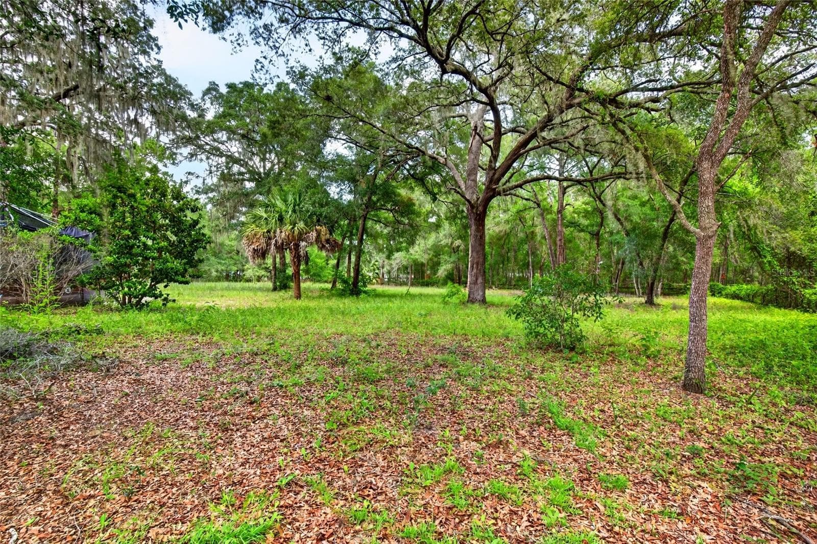 Manufactured Home at 9955 SE 160TH AVE, OCKLAWAHA, photo 48 of 51