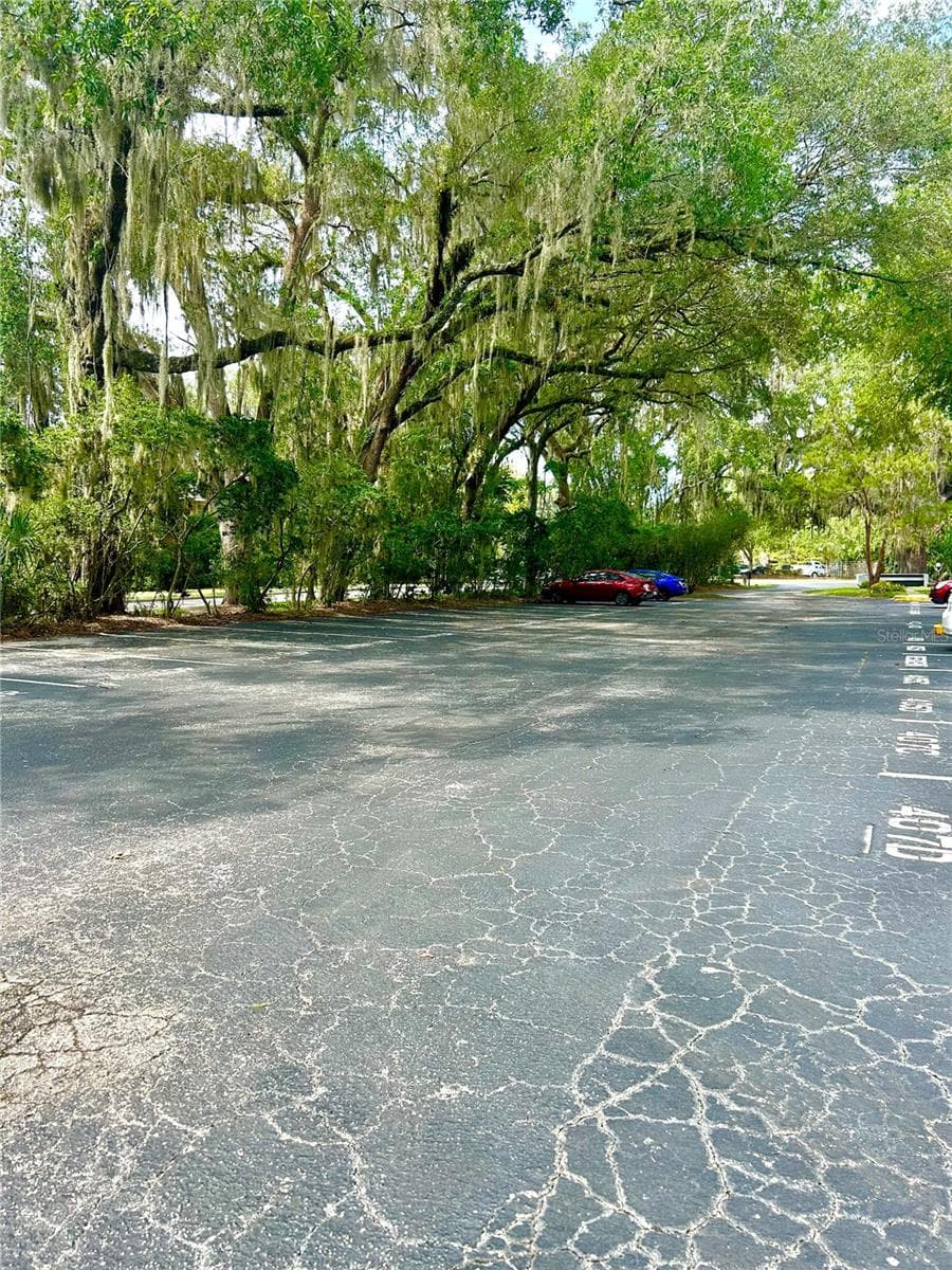 Parking lot - 407 NW 39TH RD #407C, GAINESVILLE