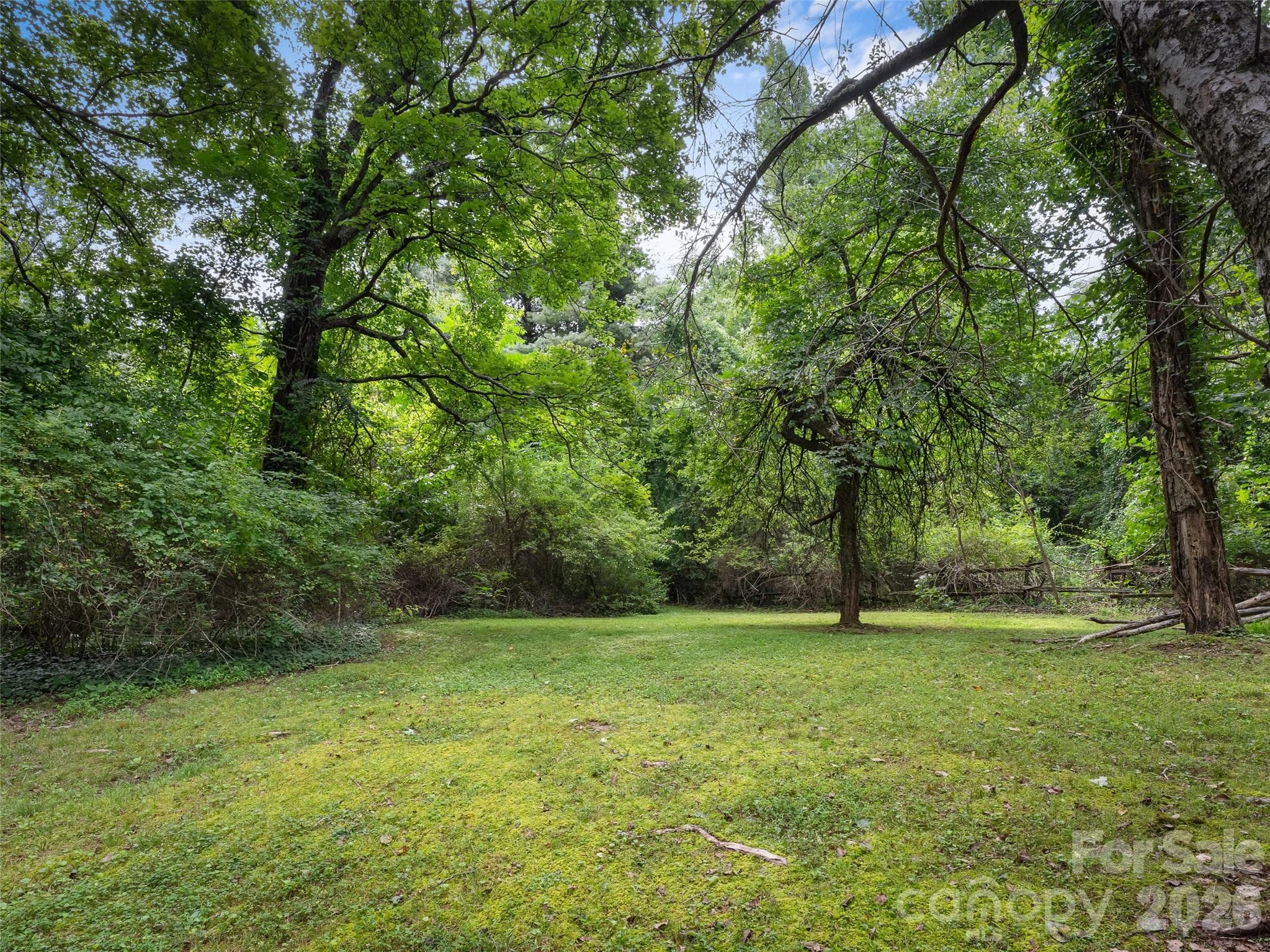 back yard - 95 Substation Road, Saluda