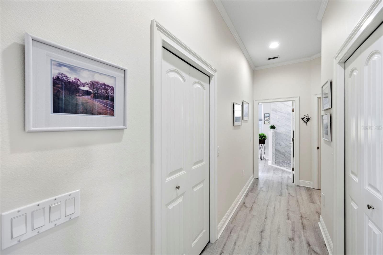 The large walkin is to your left - 3850 CREEKSIDE PARK DR, PARRISH