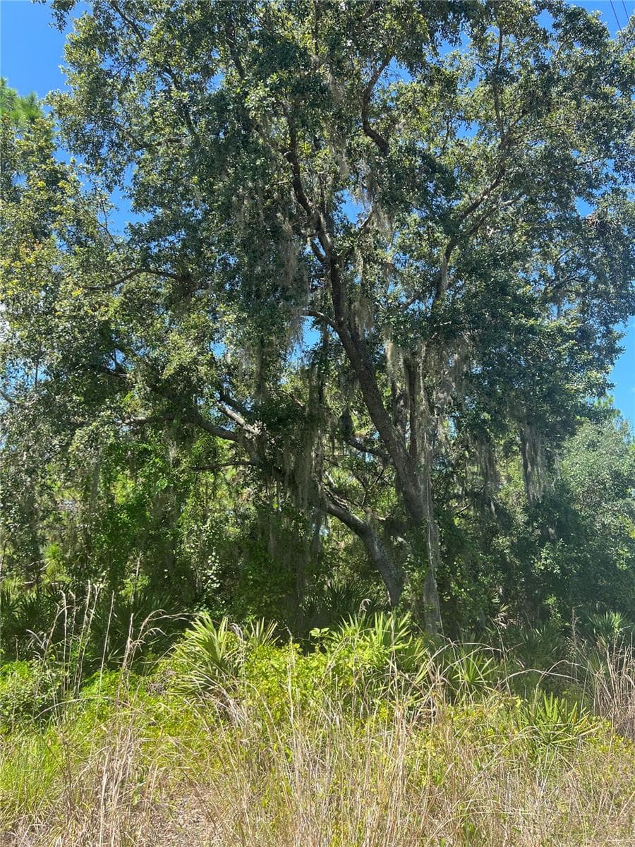 Undeveloped - 0 GRANADA DR, INDIAN LAKE ESTATES