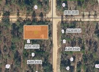 Land at 231 VIOLET AVE, INTERLACHEN, photo 2 of 4