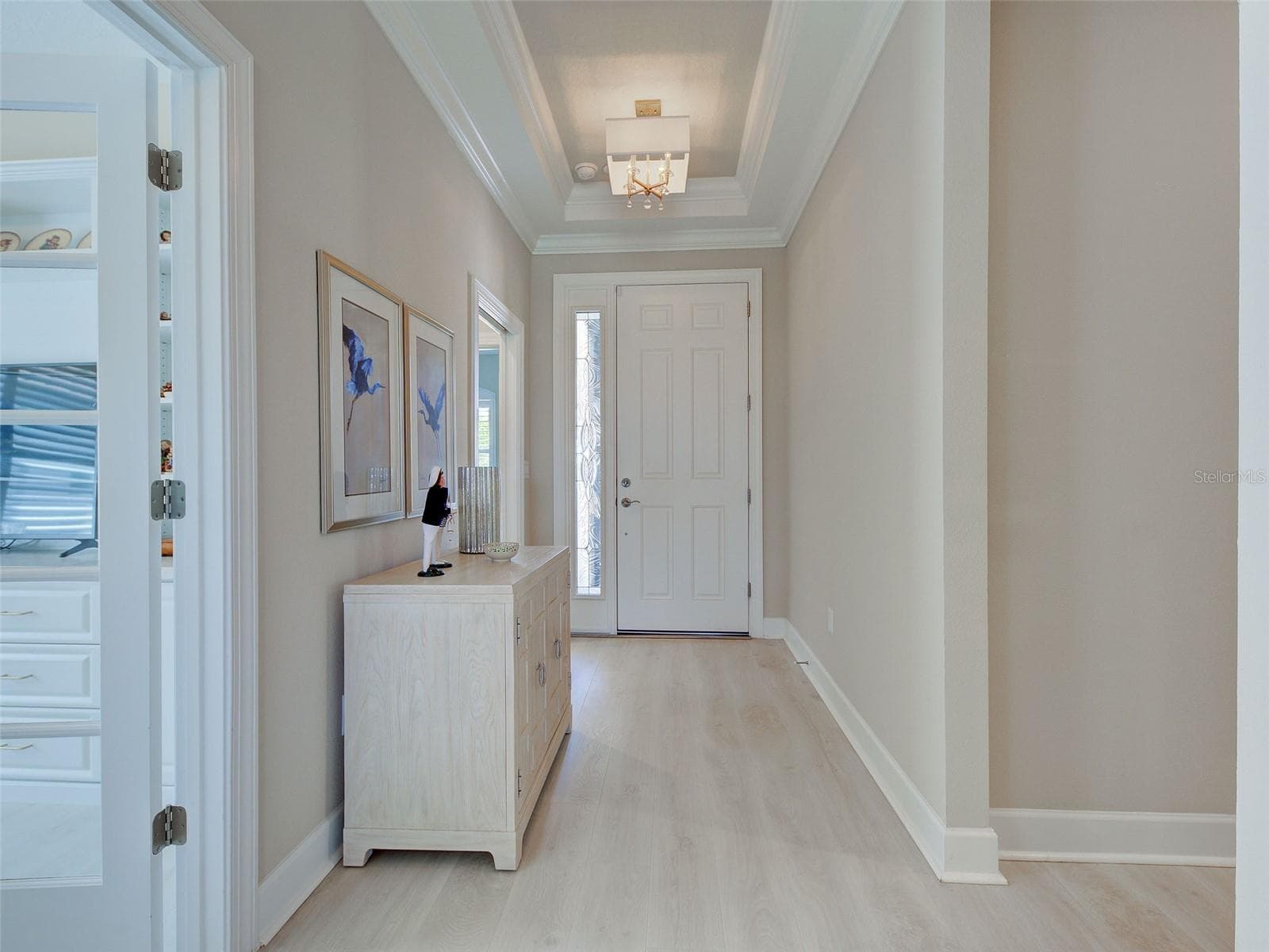 The front hallway is inviting with a beautiful tray ceiling. - 5616 SCARLOTTI ST, NOKOMIS