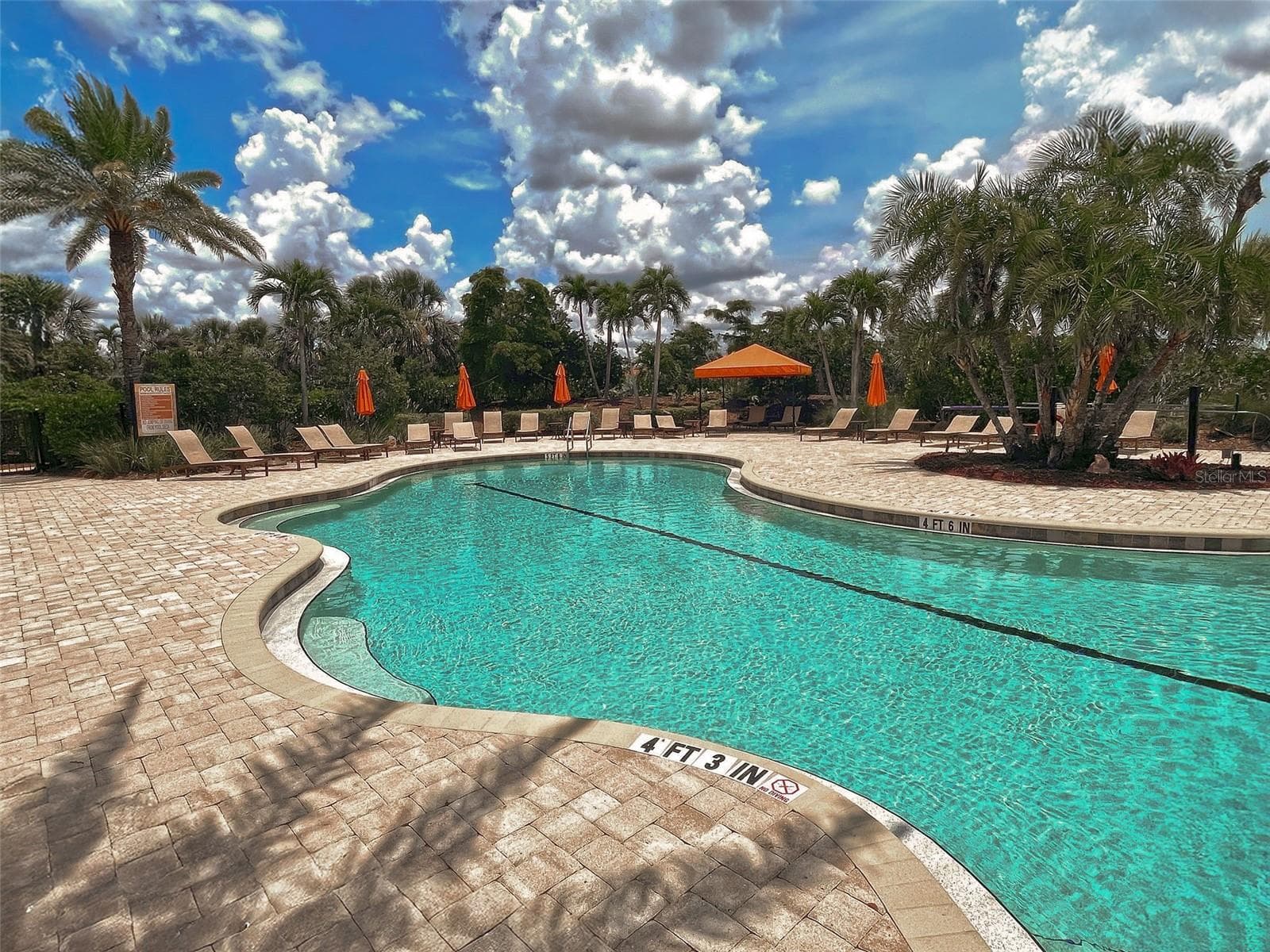 The resort inspired pool with pavers. - 5616 SCARLOTTI ST, NOKOMIS
