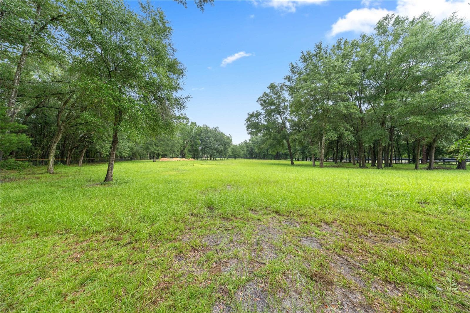 open pasture - 13250 NW 160TH AVE, MORRISTON