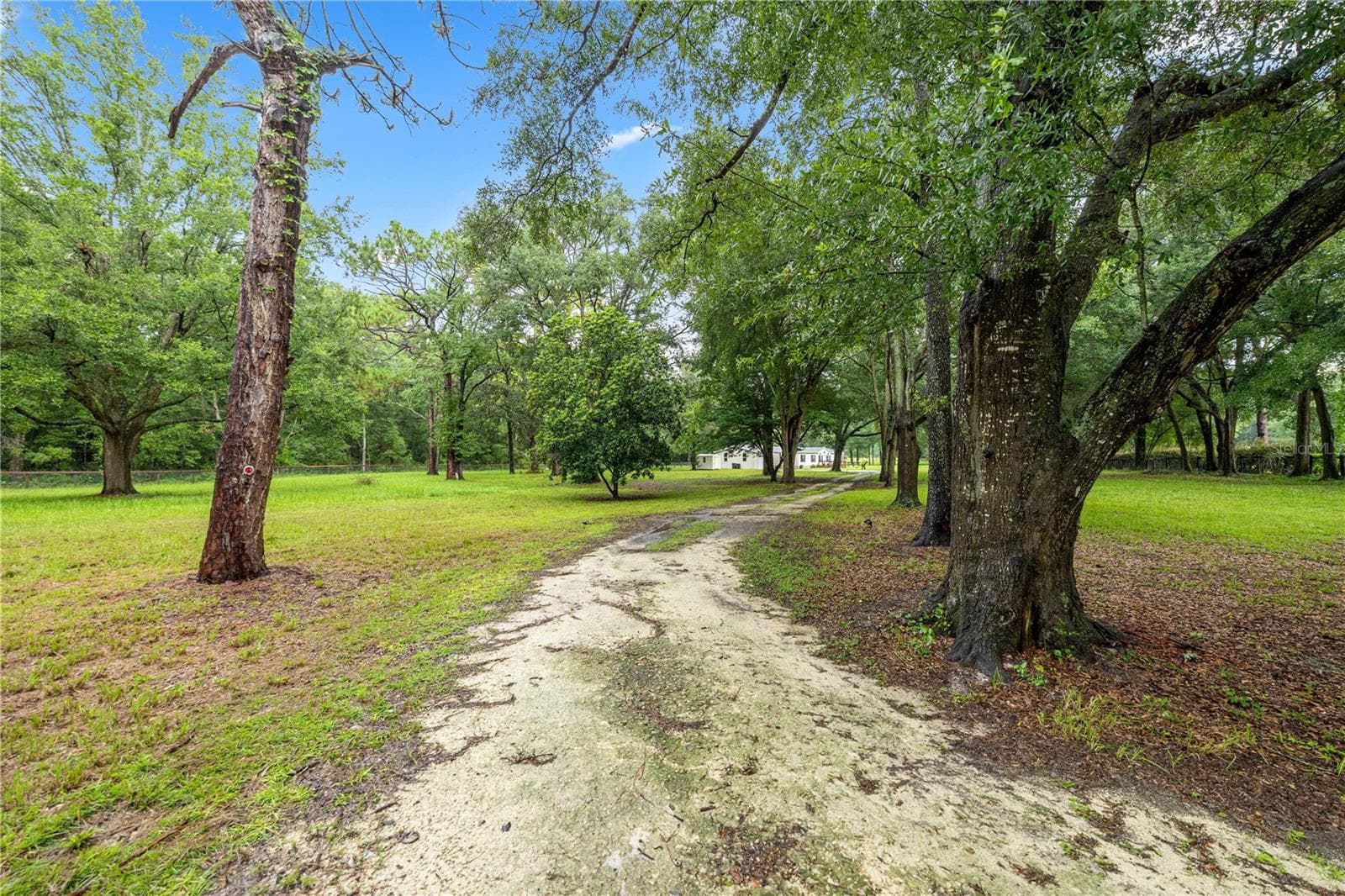 long drive way through the gate to get to the house - 13250 NW 160TH AVE, MORRISTON