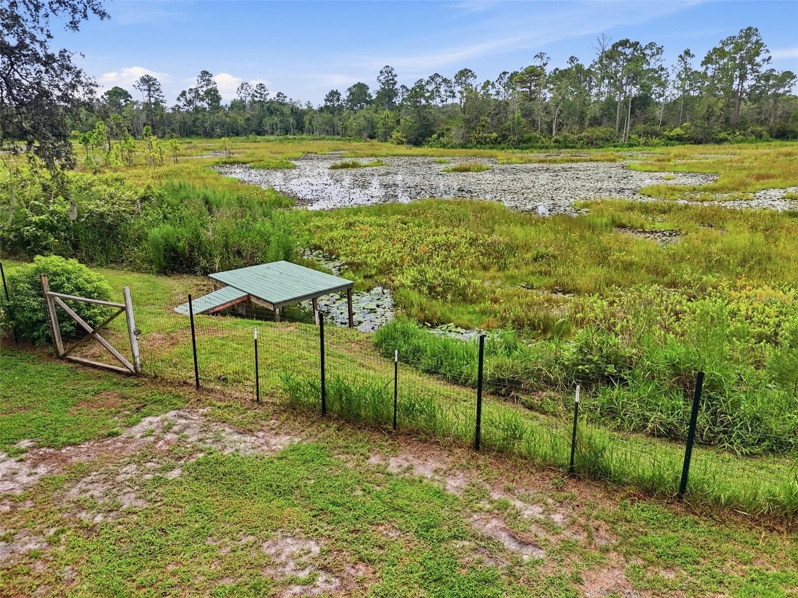 Fishing Dock - 31622 ANOTHER ANNA RD, DELAND