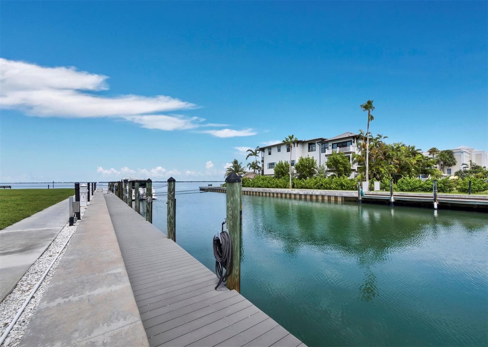 We tried, but the dolphins were camera shy. A pleasant pass time is watching the dolphin play as well as the manatee surface! - 448 GULF OF MEXICO DR #A104, LONGBOAT KEY