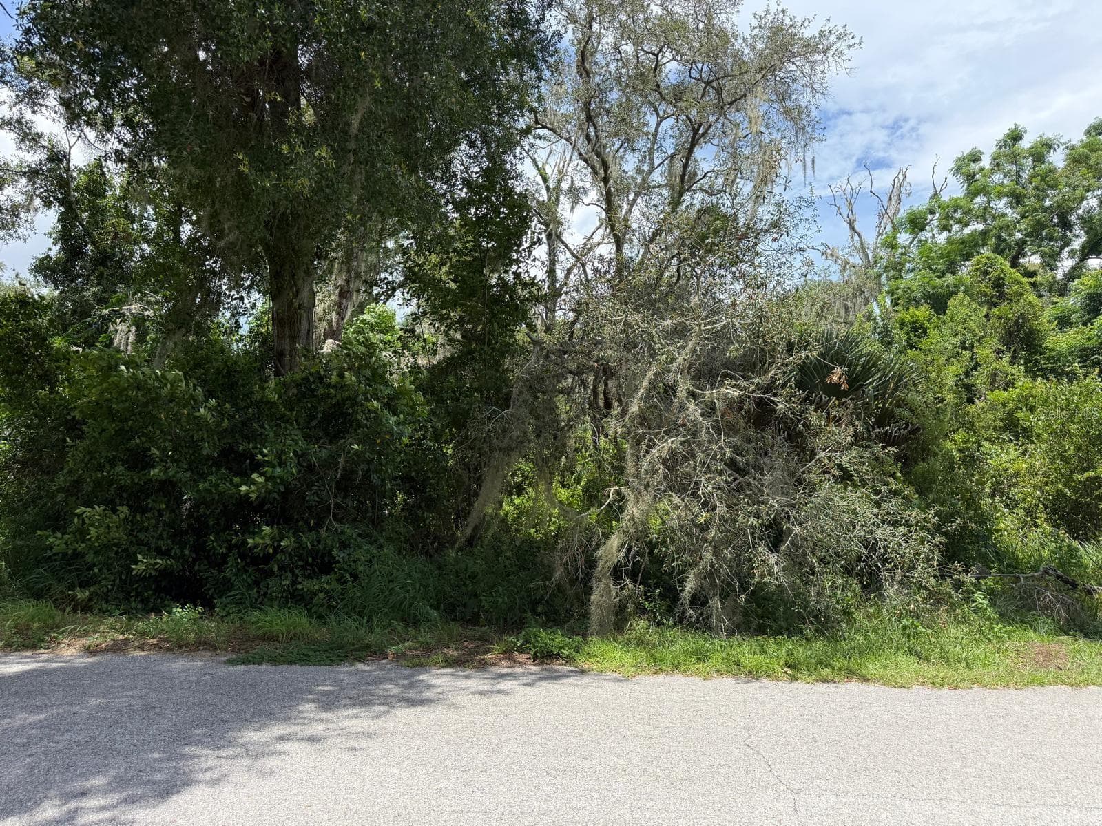 Land at CLARK RD, FRUITLAND PARK, photo 21 of 26