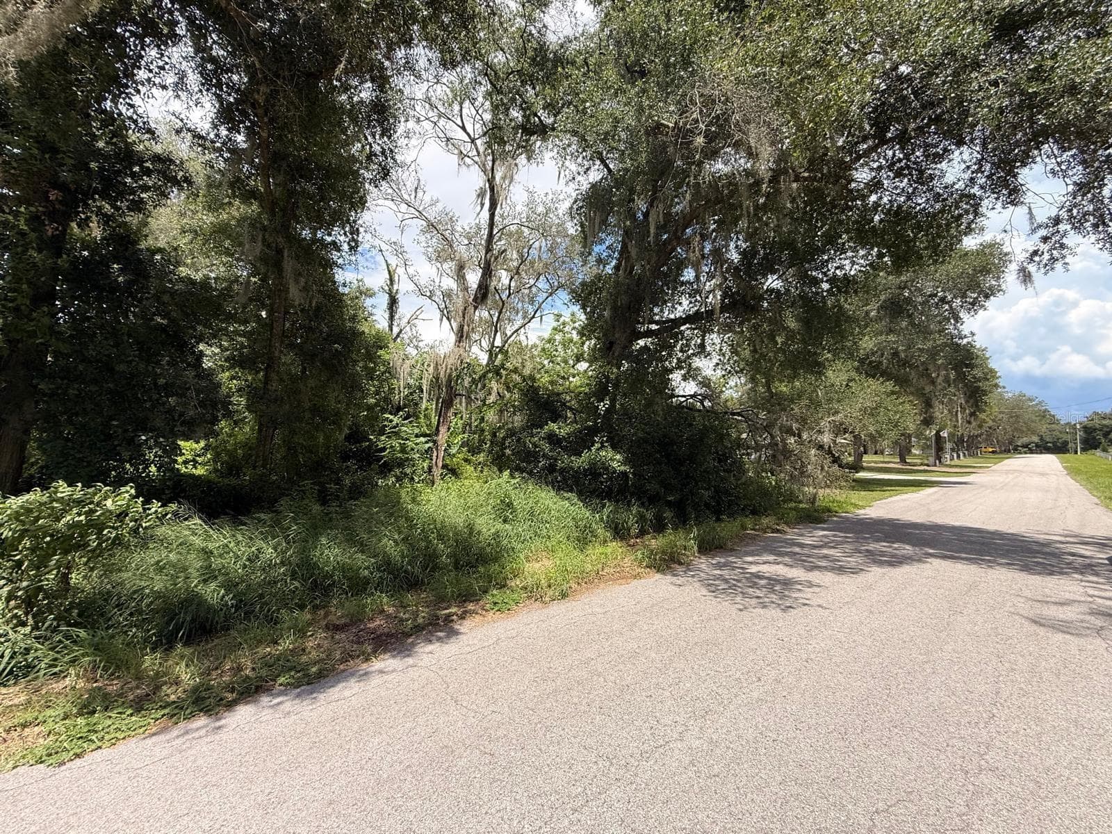 Land at CLARK RD, FRUITLAND PARK, photo 25 of 26