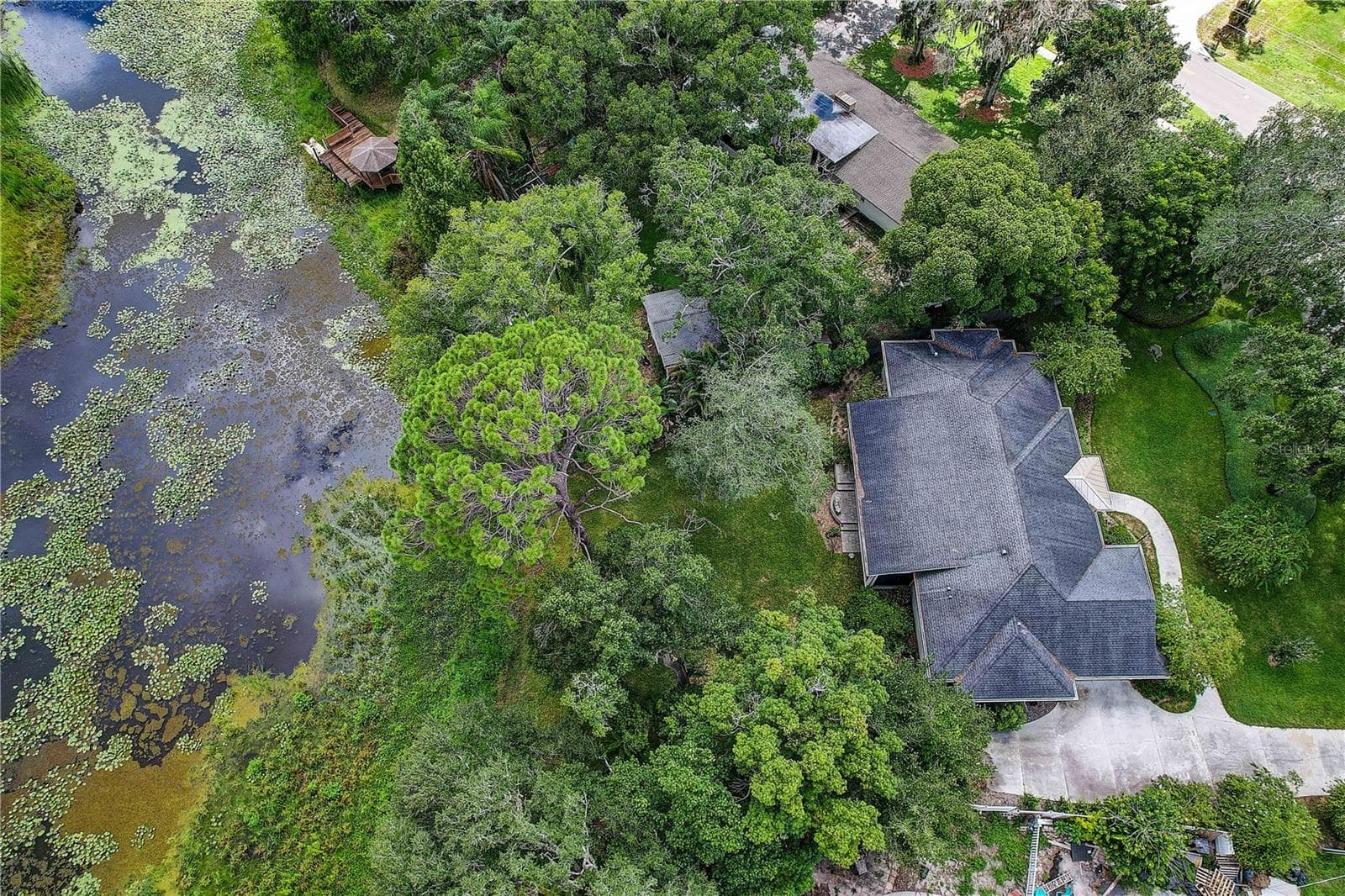 Single Family Residence at 1508 ECKLES DR, TAMPA, photo 59 of 64