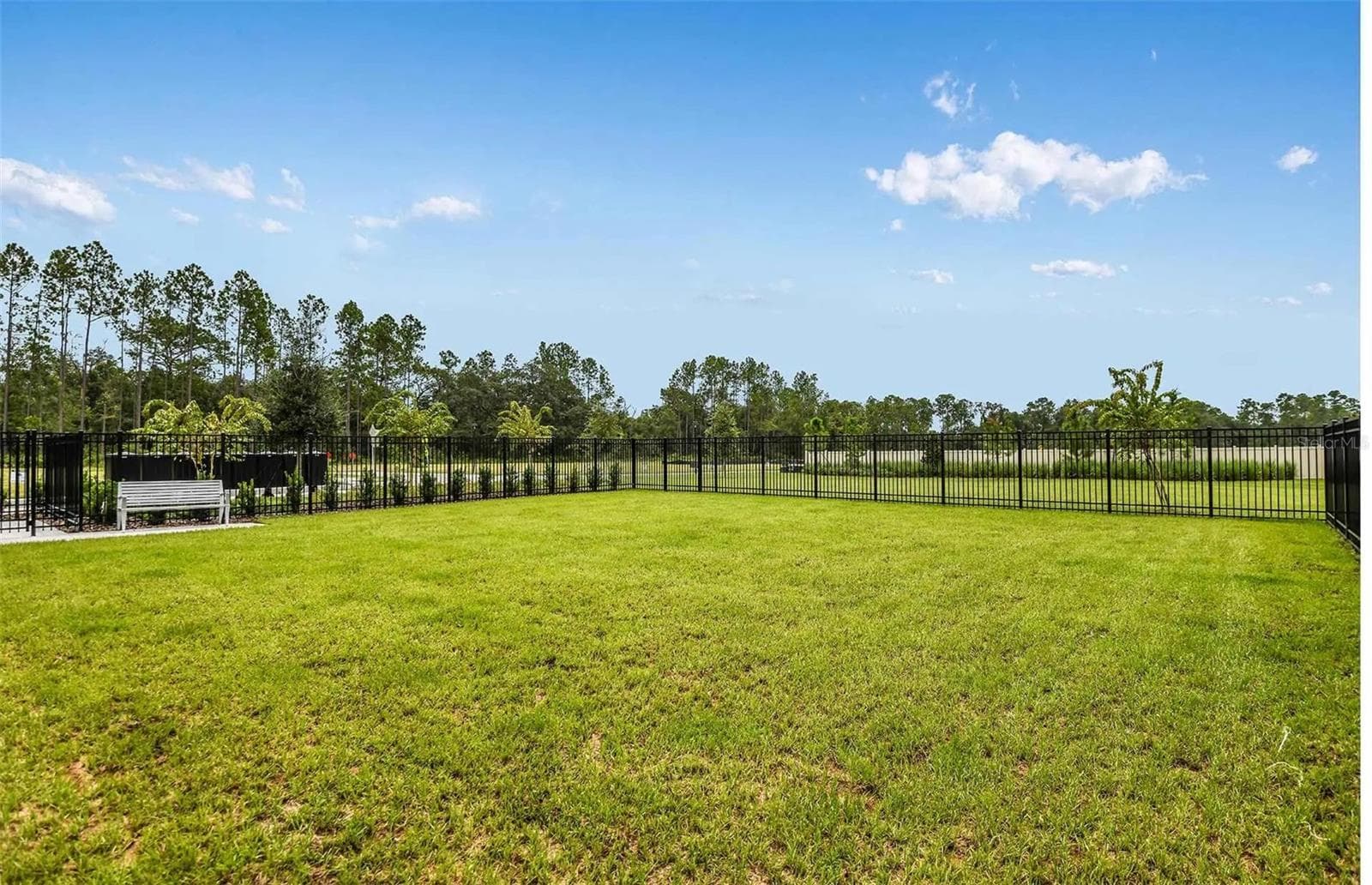 Community Dog Park - 30169 MERILEE PL, WESLEY CHAPEL