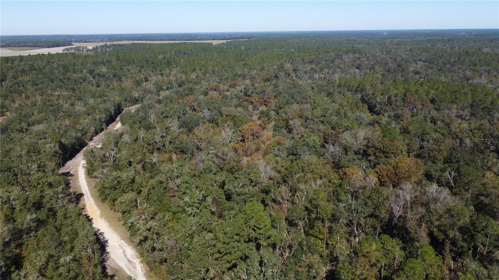 Land at NE CHERVIL DR, LEE, photo 3 of 4