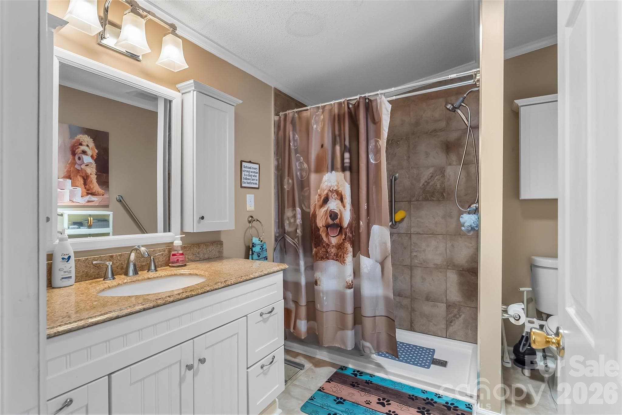 Easy step-in shower - 208 Red Birch Court, Hendersonville