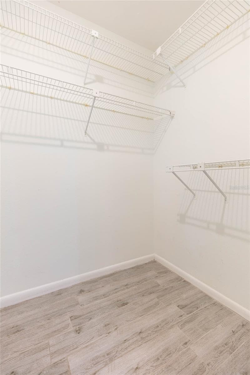 Huge primary closet - 2705 LAKEVILLE DR, TAMPA