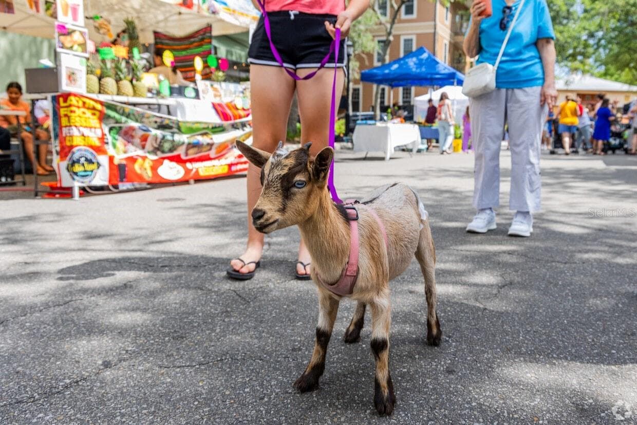 farmers market on Saturdays - 3033 SW 98TH DR, GAINESVILLE