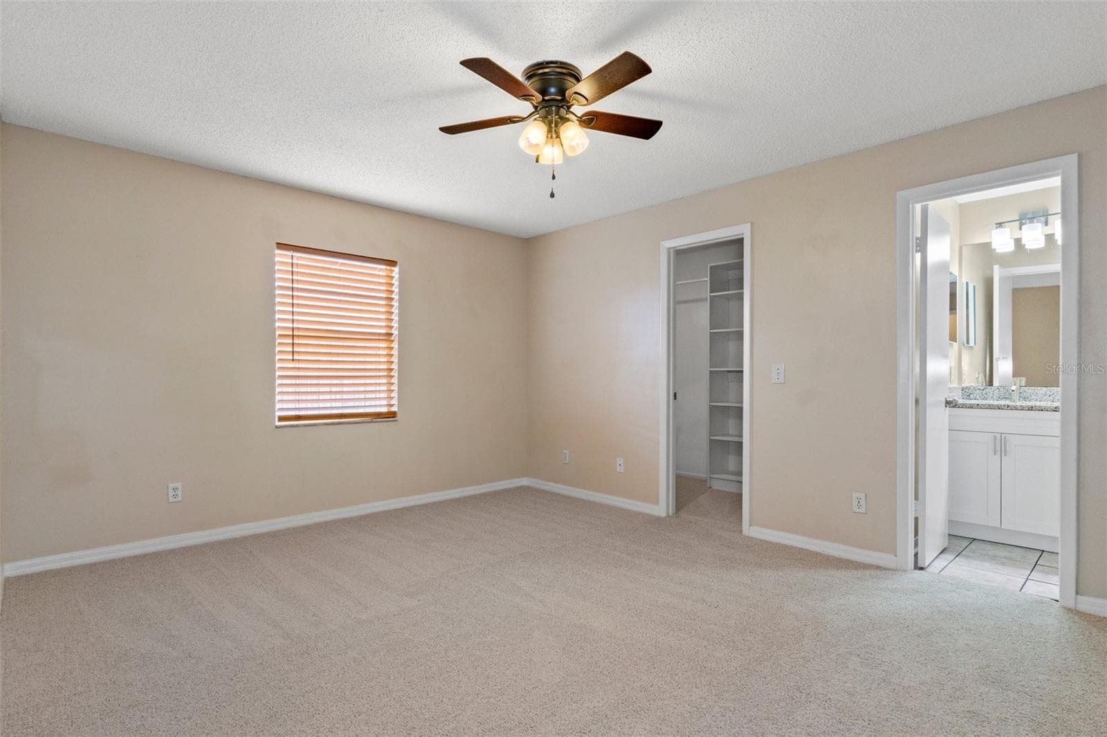 Primary en-suite bedroom - 1628 BAKER RD, LUTZ