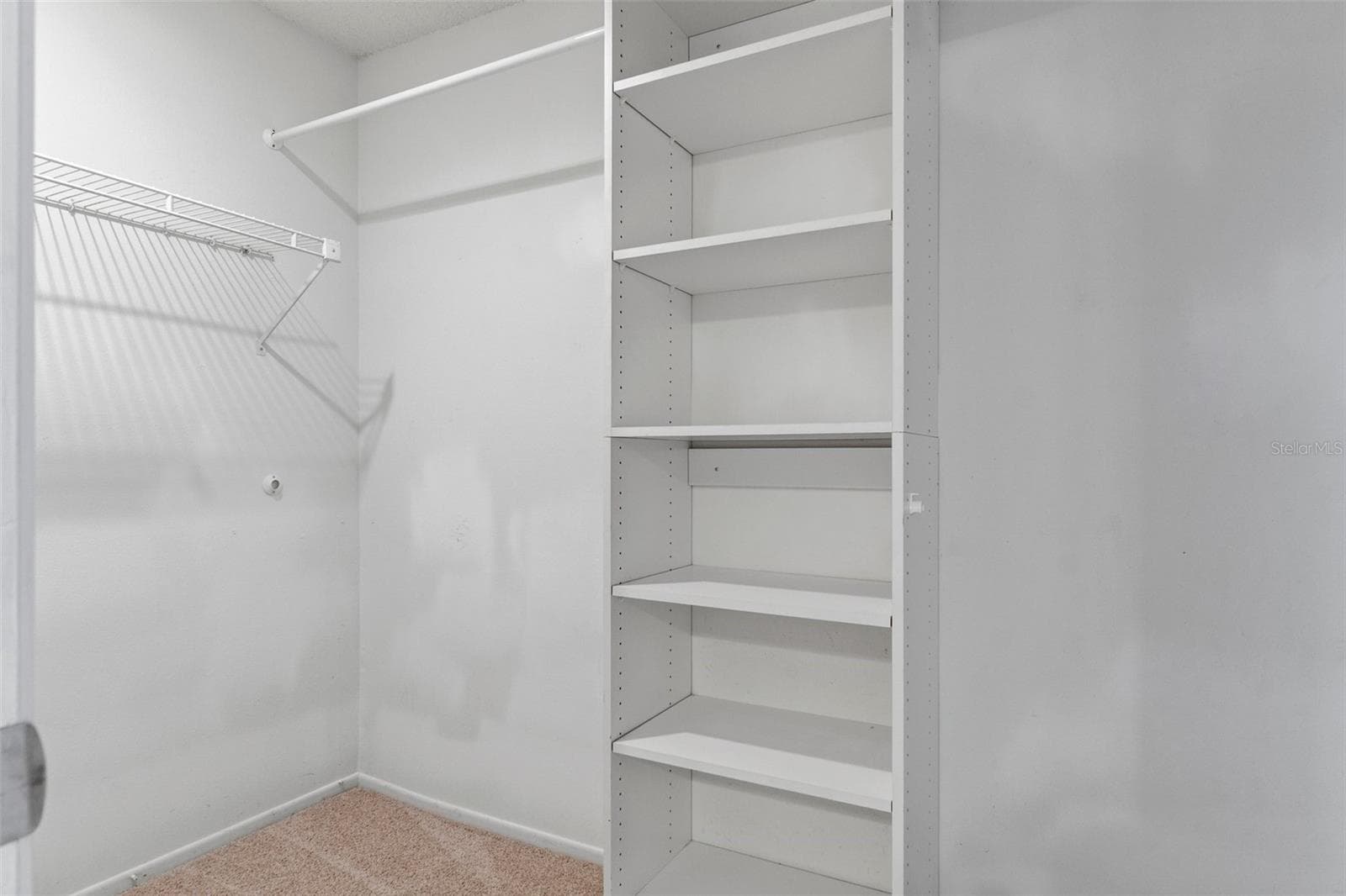 Walk in closet - 1628 BAKER RD, LUTZ