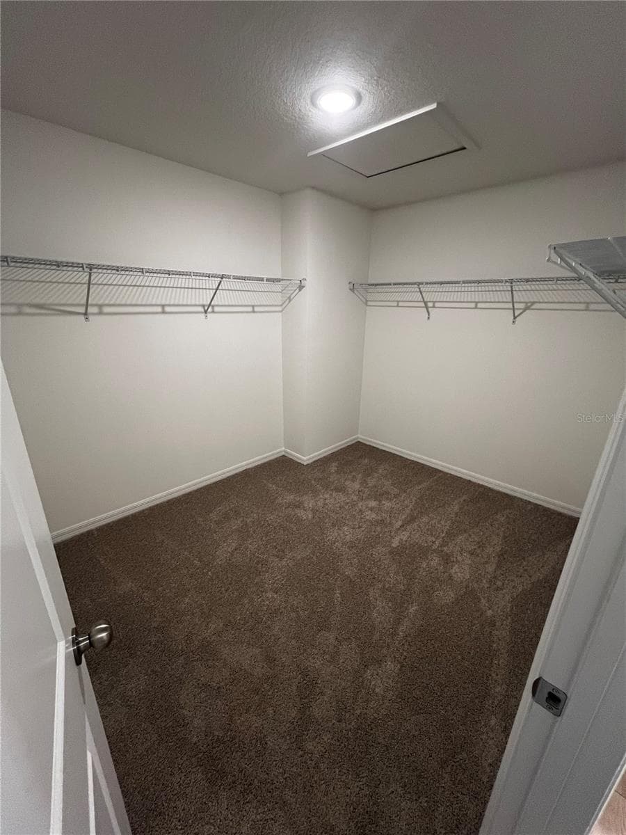 Primary walk in closet - photos for example only - 12918 RED DEER PL, PARRISH