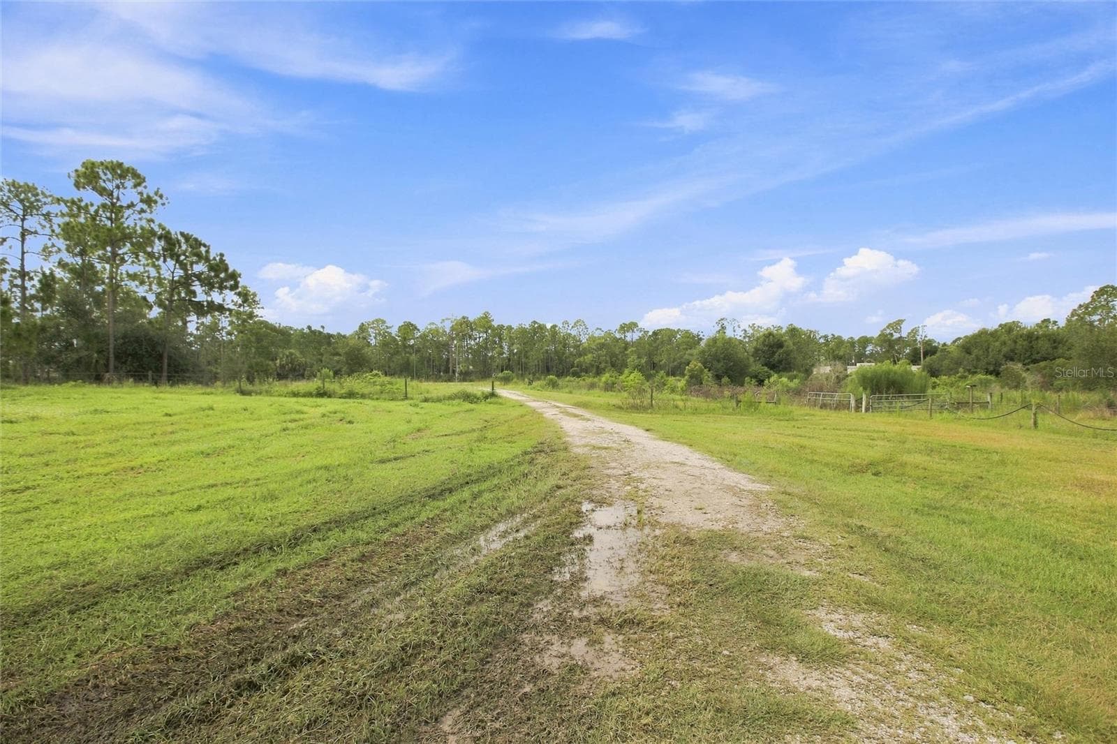 Agriculture at 8146 TROPICAIRE BLVD, NORTH PORT, photo 4 of 20