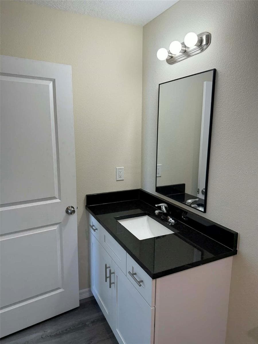 Guest Bathroom - 4346 CAMBIO GARDENS CT, TAMPA