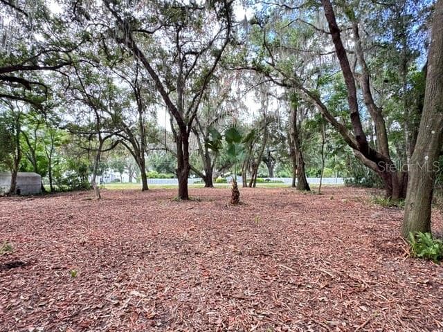 Land at E HWY 25, OCKLAWAHA, photo 5 of 15