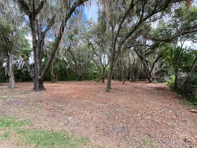 Land at E HWY 25, OCKLAWAHA, photo 6 of 15