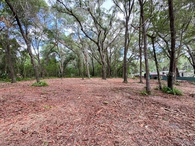 Land at E HWY 25, OCKLAWAHA, photo 7 of 15