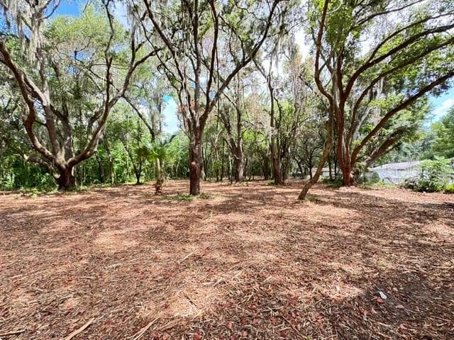 Land at E HWY 25, OCKLAWAHA, photo 8 of 15