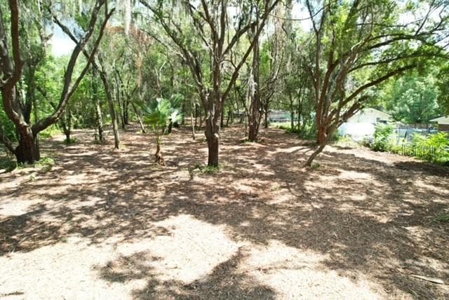 Land at E HWY 25, OCKLAWAHA, photo 9 of 15