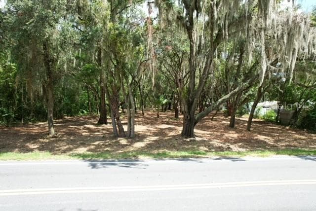 Land at E HWY 25, OCKLAWAHA, photo 10 of 15