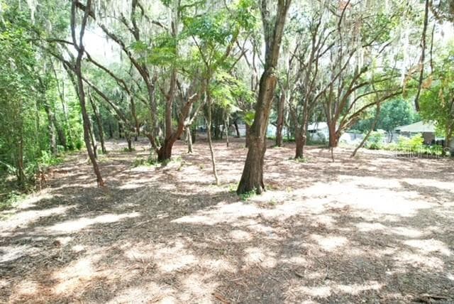 Land at E HWY 25, OCKLAWAHA, photo 11 of 15