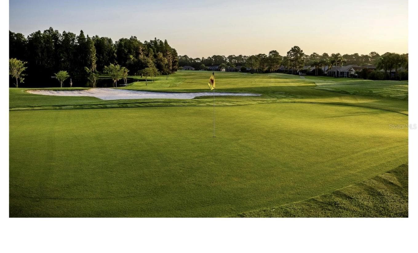 Golf course - 10924 RAIN HOLLOW CT, TRINITY