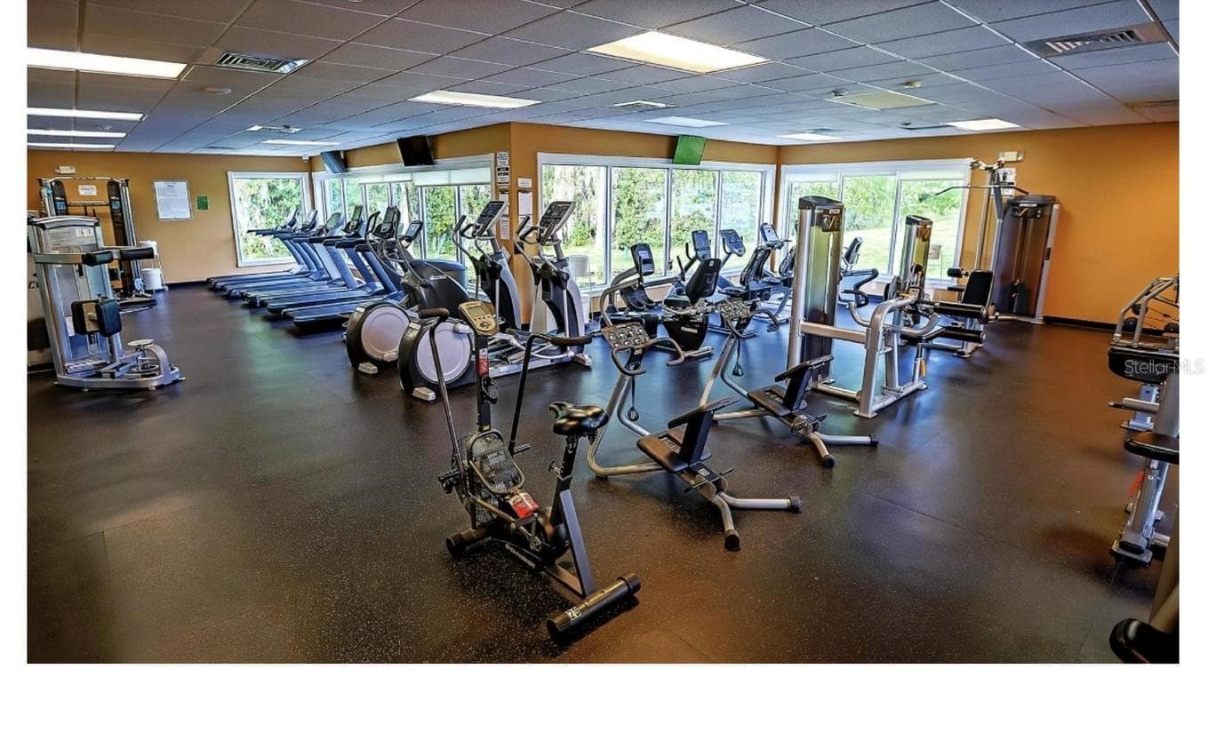 Fitness room - 10924 RAIN HOLLOW CT, TRINITY