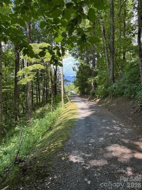 Lot 49 Rocky Ridge Road