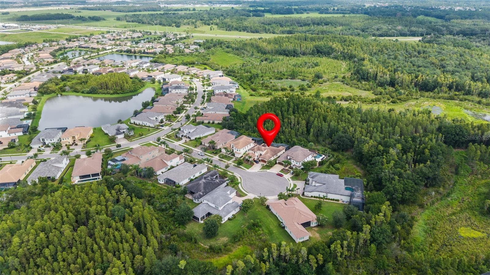 Conservation Views - 30581 IVY FORGE CT, WESLEY CHAPEL